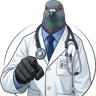 Doctor Pigeon